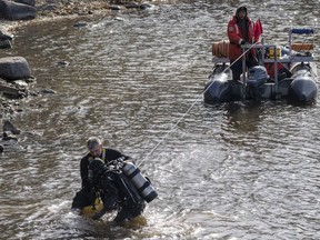 A police diver is helped out of the water as the search for a missing one-month-old baby that was lost after a car crashed into the water of the Milles-Isles river two days ago continues Sunday, October 30, 2022 in Laval, Quebec.