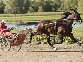 Trainer Jack Darling works Bulldog Hanover during workouts at Classy Lanes Training Centre in Puslinch, Ont., in a September 2021 handout photo.