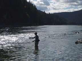 A fly fisherman casts on the Kootenai River, downstream from Lake Kookanusa, a reservoir that crosses the border between the U.S. and Canada, on Sept. 19, 2014. First Nations and environmentalists are angry the federal and British Columbia governments continue to stonewall American requests for a joint investigation of cross-border contamination from coal mining in southern B.C.'s Elk Valley.