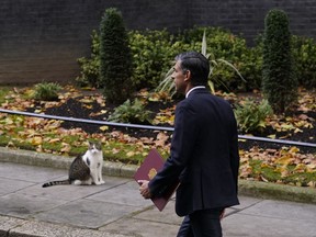 New British Prime Minister Rishi Sunak arrives as Larry the cat sits at Downing Street in London, Tuesday, Oct. 25, 2022, after returning from Buckingham Palace where he was formally appointed to the post by Britain's King Charles III.