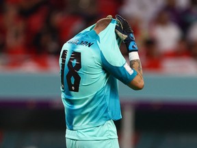 Canada's Milan Borjan reacts after Belgium's Michy Batshuayi scored their first goal.