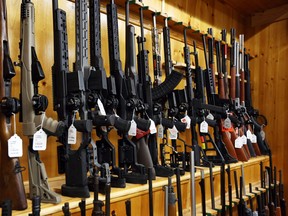 Murray Smith, an RCMP technical specialist, acknowledged to the Commons public safety committee on Thursday that some hunting firearms would be prohibited under an amendment to the Trudeau Liberals' gun control legislation.
