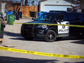 The rise in the Canadian homicide rate can almost exclusively be blamed on gang-related killings, which represented 23 per cent of all murders.