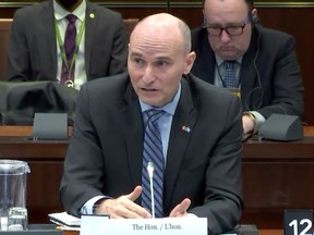 Federal Health Minister Jean-Yves Duclos speaks at health committee.