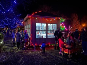 Seasonal lights in Norfolk County make holiday magic.