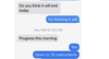 Text messages between Windsor mayor and Public Safety Minister Marco Mendicino seen as evidence at the Emergencies Act Commission
