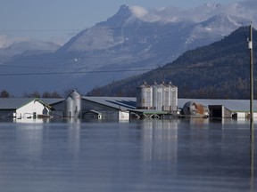 A farm submerged by flood waters caused by heavy rains and mudslides earlier in the week is pictured in the Sumas Prairies near Chilliwack, B.C., Friday, Nov. 19, 2021. British Columbia's agriculture minister says farmers in the Sumas Prairies had "an emotional year" as they work to recover following the province's catastrophic flooding last November. THE CANADIAN PRESS/Jonathan Hayward