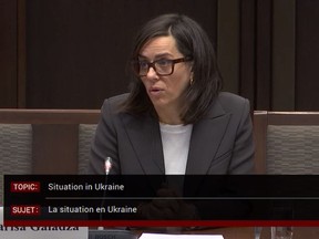 Larisa Galadza, Canada's ambassador to Ukraine, speaks before the Senate foreign affairs committee on Thursday.