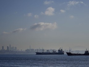 Cargo ships anchored in the Marmara Sea await to cross the Bosphorus Straits in Istanbul, Turkey, Tuesday, Nov. 1, 2022. Turkey's defence minister urged Russia to "reconsider" its decision to suspend the implementation of the UN and Turkish-brokered grain deal in a telephone call with his Russian counterpart.