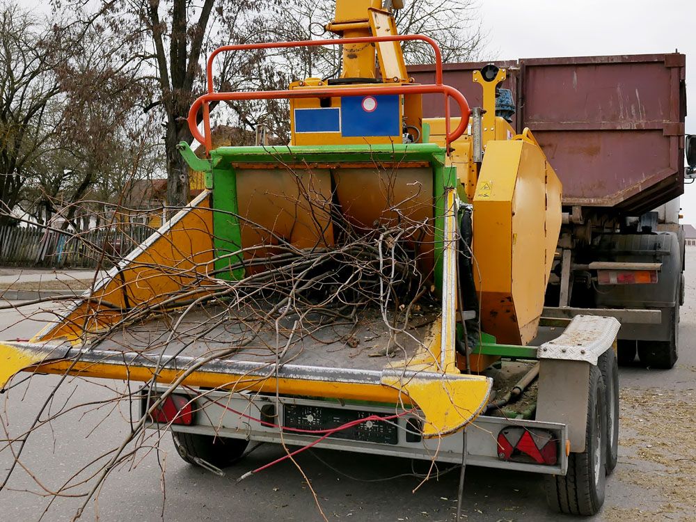 Tree trimmer dies in tragic woodchipper accident outside of Christmas
light show