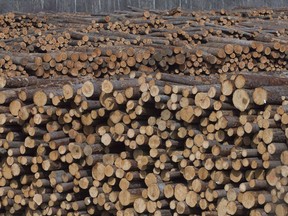 Softwood lumber is pictured at Tolko Industries in Heffley Creek, B.C., on April 1, 2018. British Columbia's forests sector is in the throes of change, as the province embarks on plans to "modernize" how forests are managed amid ecological concerns, fluctuating lumber prices and a dwindling supply of trees for harvesting.