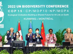 The leadership of the U.N.-backed COP15 biodiversity conference applaud after passing the The Kunming-Montreal Global Biodiversity Framework in Montreal, Quebec, Canada December 19, 2022.