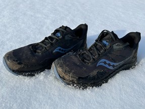 The My Saucony Peregrine ICE+ 3 still sports a little mud from a pair of early season trail runs.