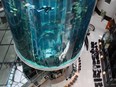 In this file photo taken on May 10, 2011 divers clean the 'AquaDom' a lobby aquarium in the Radisson Blu hotel in central Berlin.