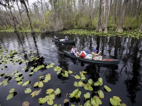 FILE - A group of visitors return to Stephen C. Foster State Park after an overnight camping trip on the Red Trail in the Okefenokee National Wildlife Refuge on April 6, 2022, in Fargo, Ga. A member of President Joe Biden's cabinet urged Georgia officials in a letter dated Nov. 22, 2022, to deny permits for a proposed mine near the edge of the famed Okefenokee Swamp and its vast wildlife refuge, saying the plan poses "unacceptable risk" to the swamp's fragile ecology.
