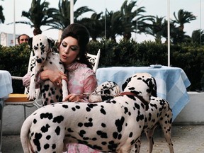 In this file photo taken on May 17, 1972, Gina Lollobrigida arrives with four dalmatian dogs at Hotel Carlton before presenting her film "King, Queen, Knave" during the 25th Cannes International Film Festiva. - Gina Lollobridgida died at 95 on January 16, 2023,