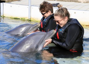 Debbie Olsen, left, and Kelsey Olsen encounter the animals at Dolphin Quest Bermuda, which offers thorough education and conservation programs.