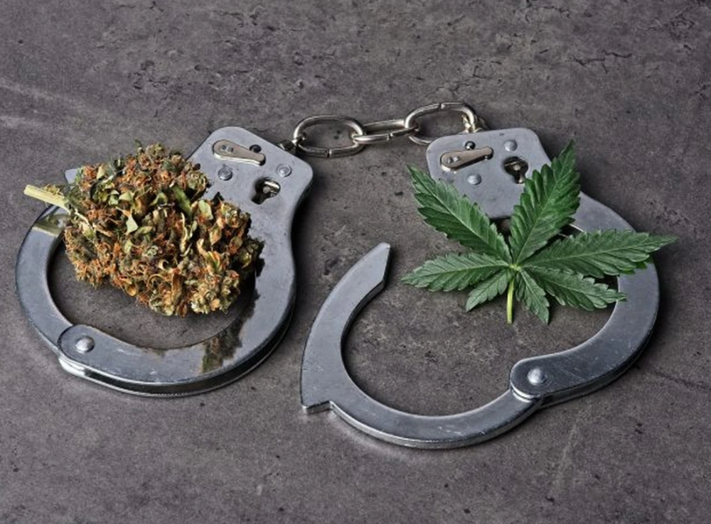 It was also determined the driver had tried to conceal a cannabis joint by swallowing it over the course of the police pursuit. / PHOTO BY GLETI / ISTOCK / GETTY IMAGES PLUS