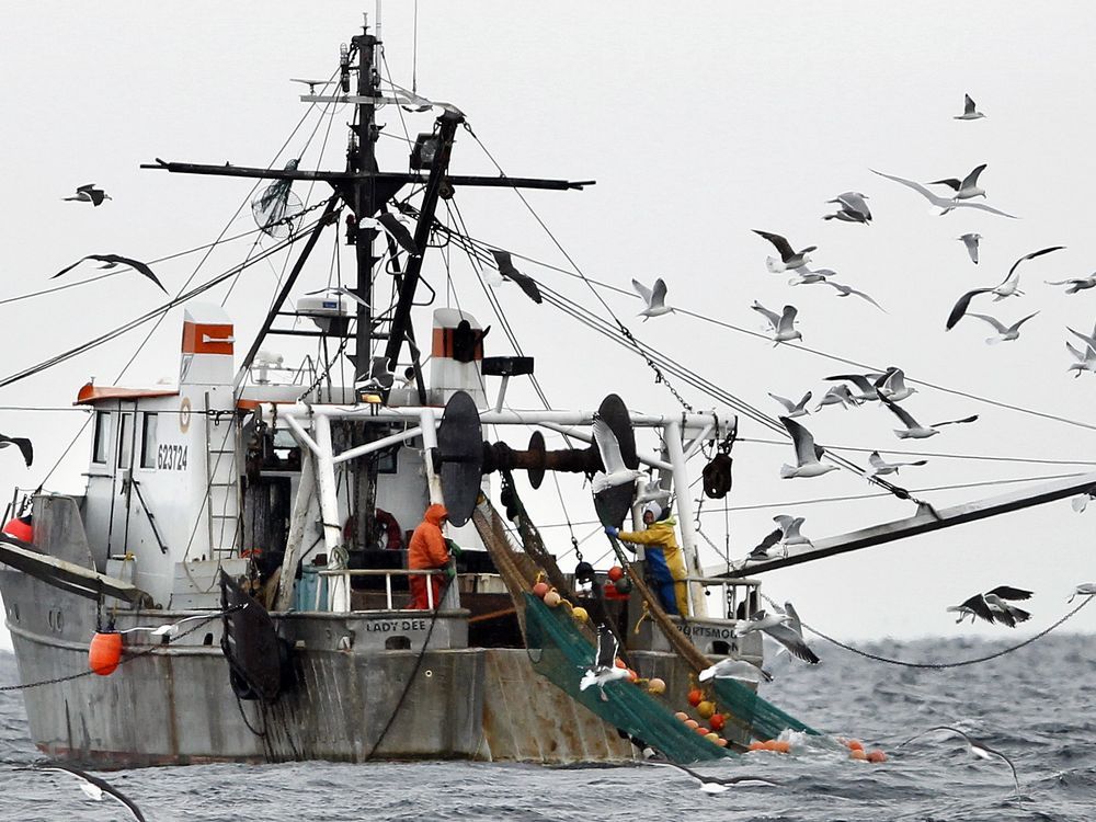 Feds try to improve fishing data with new monitoring rules