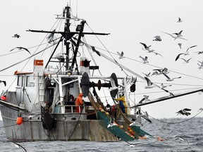 FILE- Gulls follow a commercial fishing boat as crewmen haul in their catch in the Gulf of Maine, in this Jan. 17, 2012 file photo. Changes to the U.S.'s rules about the monitoring of Northeast commercial fishing activities went into effect this month with a goal of providing more accurate information about some of the nation's oldest fisheries.