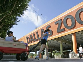 FILE - The entrance to the Dallas Zoo in Dallas is pictured on June 3, 2008. Two monkeys were taken from the Dallas Zoo on Monday, Jan. 30, 2023, police said, the latest in a string of odd incidents at the attraction being investigated, including fences being cut and the suspicious death of an endangered vulture in the past few weeks.