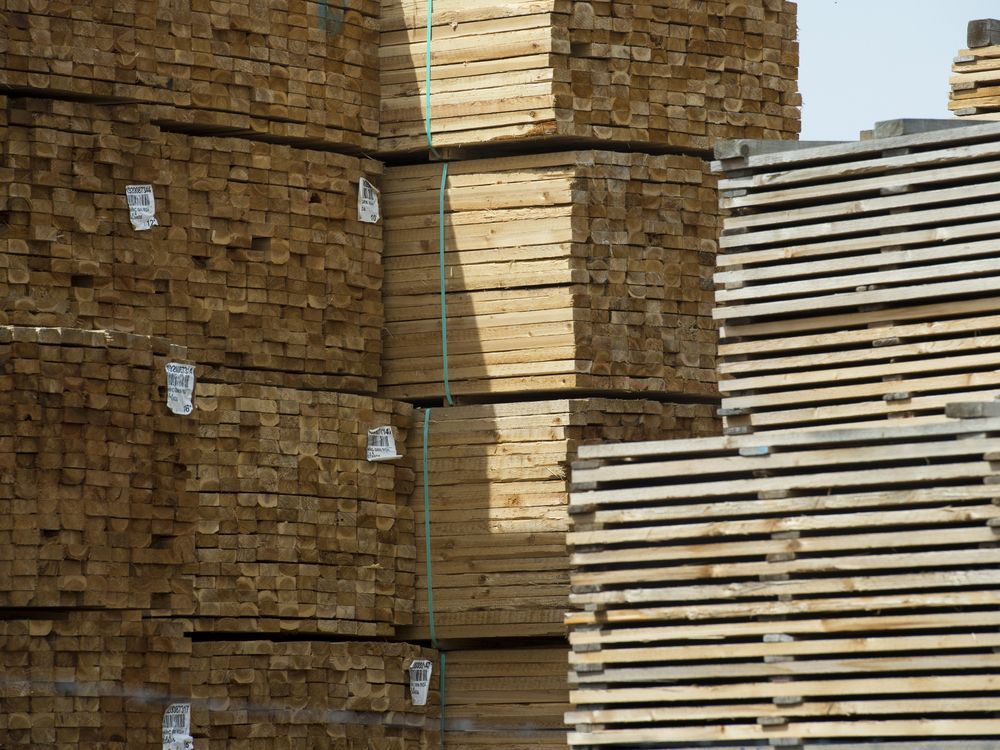 ‘Disappointing’ that U.S. pressing ahead with duties on Canadian softwood lumber: Ng