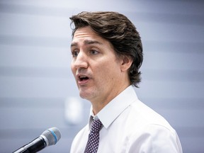 The Trudeau Liberals' attack-and-demonize approach looks more ridiculous by the day, Chris Selley writes.