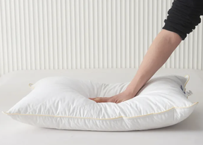 Silk Combo Pillow