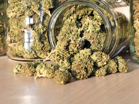 Cannabis in jars