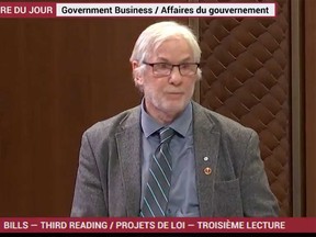 Senator David Adams Richards speaks on the Liberal government's Bill C-11 in the Senate on on Jan. 31, 2023.