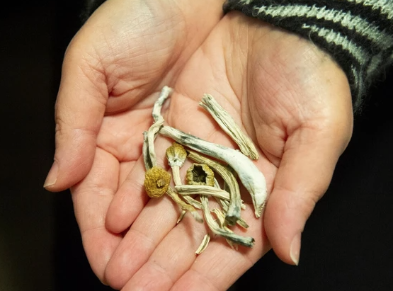 The government says it tries to process SAP requests within one working day of receipt. PHOTO BY ARLEN REDEKOP / PNG STAFF PHOTO