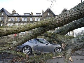 A Porsche 911 car is damaged by a fallen tree in Harrogate, North Yorkshire, Friday, Feb. 17, 2023, as a result of storm Otto. The storm, the first to be named this winter, has been labelled Otto by the Danish Meteorological Institute. A storm over the North Sea on Friday led to dozens of cancellations of train and ferry connections in northern Denmark and southern Norway with the Danish Meteorological Institute saying gusts of hurricane force can be expected.