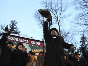 FILE - Groundhog Club handler A.J. Dereume holds Punxsutawney Phil, the weather prognosticating groundhog, during the 136th celebration of Groundhog Day on Gobbler's Knob in Punxsutawney, Pa., Feb. 2, 2022. On Thursday, Feb. 2, 2023, people will once again gather at Gobbler's Knob as members of Punxsutawney Phil's "inner circle" summon him from his tree stump at dawn to learn if he has seen his shadow. According to folklore, if he sees his shadow there will be six more weeks of winter. If he does not, spring comes early.