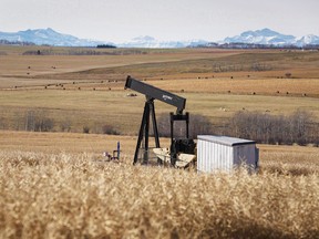 The Alberta Energy Regulator has pegged cleanup costs of well sites in the province at $58.65 billion. Donna Kennedy-Glans discusses the issue with retired rig hand Jim Reid.