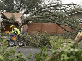 Nicolas Lane, of Full Canopy Tree Care, removes a live oak tree that fell on a house on Cloverleaf Drive during a winter storm, Friday, Feb. 3, 2023, in Austin, Texas.
