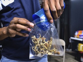 A vendor bags psilocybin mushrooms at a cannabis marketplace in Los Angeles,&ampnbsp;Friday, May 24, 2019. A lawyer alleged Tuesday Canada's government violated the constitutional right to life, liberty and security of hundreds of patients who are on a waiting list to access psilocybin-assisted psychotherapy by rejecting applications from health-care professionals requesting permission to ingest restricted drugs as a part of their training to provide the service.