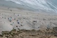 San Diego's Black's Beach.