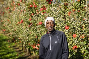 Jamaican Delroy Martin has spent over 30 years at Nighthawk Orchards as part of the Seasonal Agricultural Worker Program.
