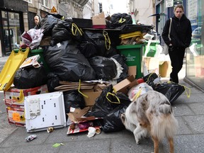 A pedestrian walks past full waste bins in Paris as rubbish collectors strike against pension reforms.