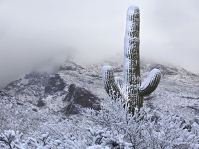 Snow coats the foothills of the Santa Catalina Mountains north of Tucson, Ariz., on March 2, 2023. Tucson International Airport received an inch of snow, the 7th highest March snow for one day on record, according to the National Weather Service.