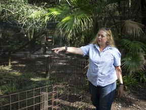 FILE - Carole Baskin, founder of Big Cat Rescue, walks the property near Tampa, Fla., July 20, 2017. The owners of the Florida-based tiger sanctuary made famous by the Netflix docuseries, "Tiger King," say they plan to move their big cats to an Arkansas facility and sell their property.