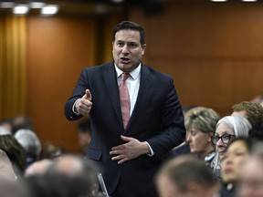 Minister of Public Safety Marco Mendicino rises during Question Period in the House of Commons on Parliament Hill in Ottawa on March 7, 2023. The Trudeau government tabled legislation to alter the terrorism provisions of the Criminal Code, which have blocked Canadian humanitarians from working in Afghanistan.