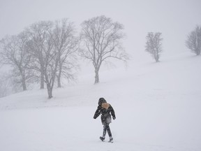 A pedestrian makes their way through a snowstorm in Halifax on Tuesday, January 31, 2023. A top meteorologist says a Canadian winter that lacked commitment earlier in the season is expected to finish strong before spring's sluggish arrival.