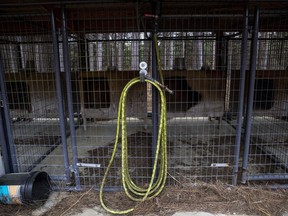 A hose in the dog kennels at the Murdaugh Moselle property on Wednesday, March 1, 2023 in Islandton, S.C. Jurors have visited the South Carolina estate where prosecutors say disgraced attorney Alex Murdaugh shot and killed his wife and son. The tour of the crime scene happened before jurors were to head back to court in Walterboro to hear closing arguments in the closely watched murder trial.