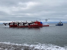 Sustainable Marine, which generates energy from tidal waves, is pulling out of the Bay of Fundy after the Canadian government refused give the company a permit.