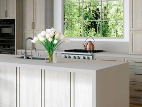 There are design rules to follow when blending countertops, back splashes, appliances and cabinetry. Wyndigo quartz counter surfacing, www.ceasarstone.ca