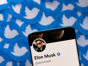 After buying Twitter in October, Elon Musk has been trying to boost the platform's revenue by pushing more people to pay for a premium subscription.