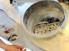 A vessel containing a women’s frozen egg cells.