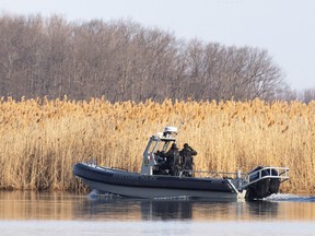 Police search the marshland where the bodies of eight people trying to enter the U.S. from Canada have been found, in Akwesasne, Quebec.