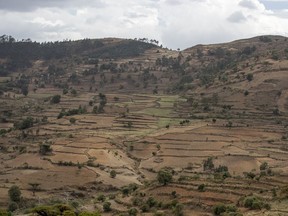 FILE - Terraced hills are seen off the road between Gondar and Danshe, a town in an area of western Tigray then annexed by the Amhara region during the ongoing conflict, in Ethiopia on May 1, 2021. Forces from Amhara have displaced tens of thousands of ethnic Tigrayans from disputed territory in the north of the country in recent weeks, despite a peace deal agreed late last year, according to aid workers and internal agency documents seen by the AP in April 2023.